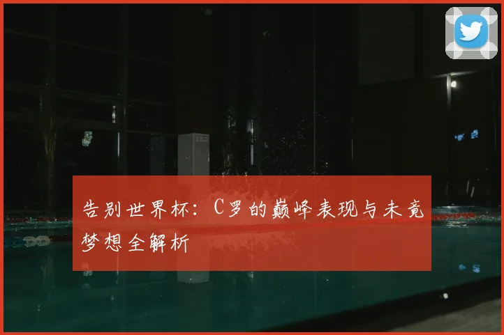 告别世界杯：C罗的巅峰表现与未竟梦想全解析