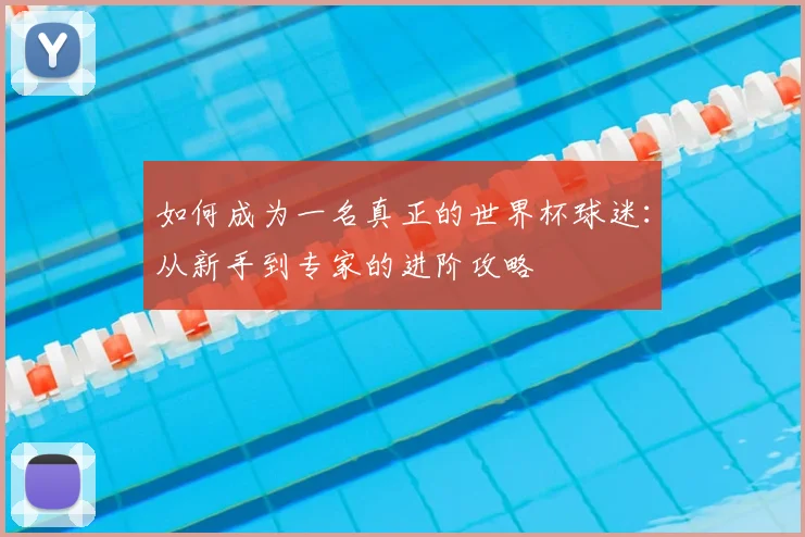 如何成为一名真正的世界杯球迷:从新手到专家的进阶攻略